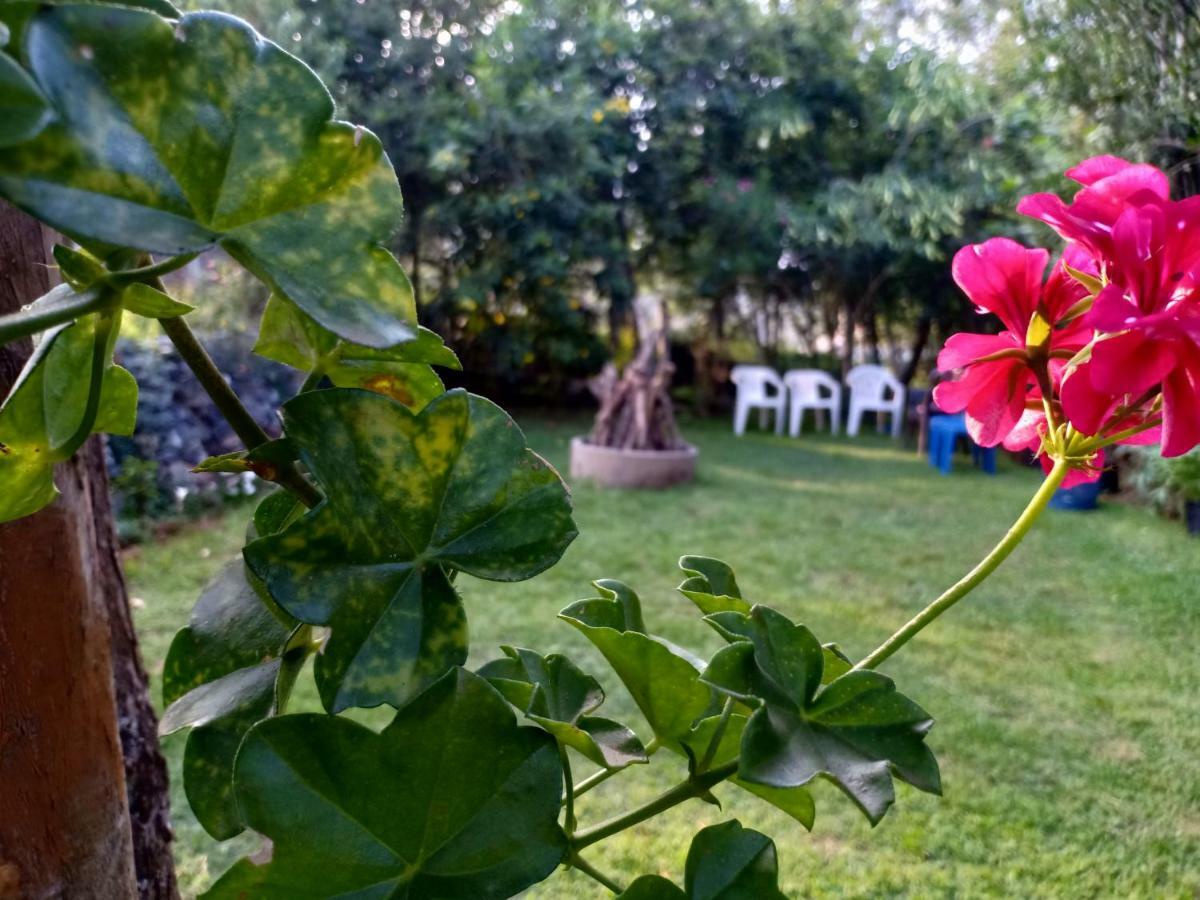 Pear Tree Inn Villa Kotagiri Exterior photo