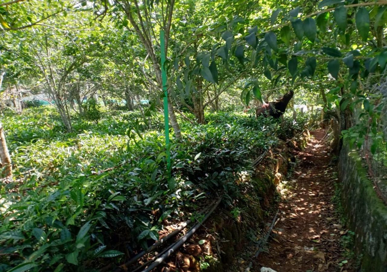 Pear Tree Inn Villa Kotagiri Exterior photo